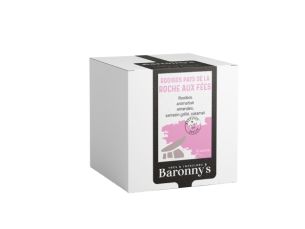 Tisane Pays de la Roche aux Fées
