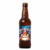 Biere-artisanale-Brasserie-des-abers-goa-pitaine-75-1