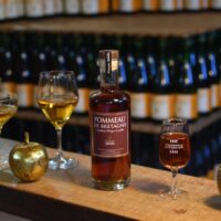 mistelle-pommeau-de-bretagne-aoc-50-cl