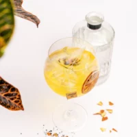 orange-me-cocktail-agrumes-fumes-boises-316378